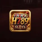 H789 Game icon